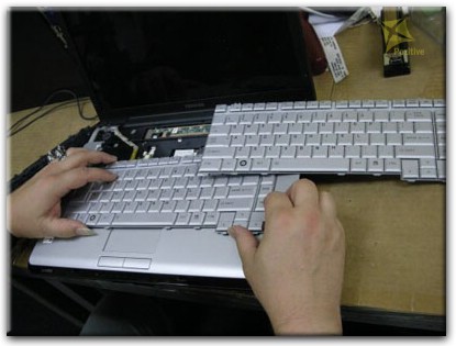Ремонт клавиатуры на ноутбуке Toshiba в Евпатории